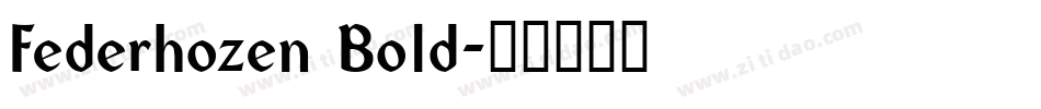 Federhozen Bold字体转换